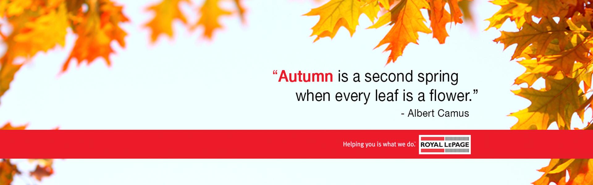 Home Real Estate Homes for sale in Stratford, ON Royal LePage